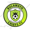 Bulawayo Chiefs