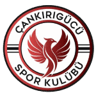 Cankirigucu badge