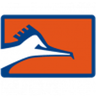 Correcaminos UAT II badge
