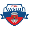 CSM FC Vaslui