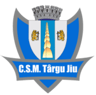 CSM Targu Jiu
