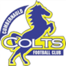 Cumbernauld Colts