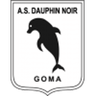 Dauphins Noirs badge