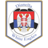 Dianella White Eagle