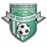 Dukagjini