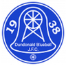 Dundonald Bluebell