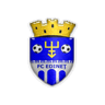 Edineţ badge