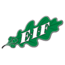 EIF Akademi