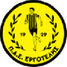 Ergotelis badge