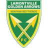 Golden Arrows