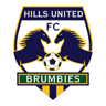 Hills Brumbies