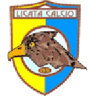 Licata badge