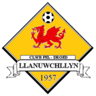 Llanuwchllyn badge