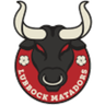 Lubbock Matadors