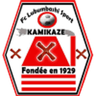 Lubumbashi Sport