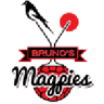 Magpies