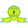 Mamelodi Sundowns W badge