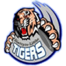 Mighty Tigers