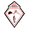 Mineros de Fresnillo badge