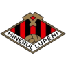 Minerul Lupeni