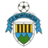 Montañesa