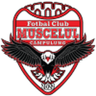 Muscelul Câmpulung Elite