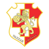 Naxxar Lions