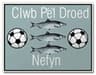 Nefyn United