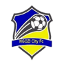 Ngozi City