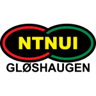 NTNUI