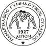 Panegialios badge