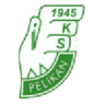 Pelikan Łowicz badge
