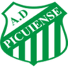 Picuiense badge