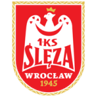 Sleza Wroclaw W badge