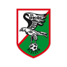 Sokół Kleczew