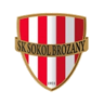 Sokol Brozany