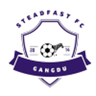 Steadfast badge