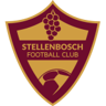 Stellenbosch W badge