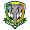 Surin badge