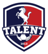 Talent Warszawa U19 badge