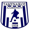 Tamynaikos Aliveriou badge