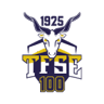 TFSE Budapest badge