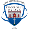 Tricolorul Breaza