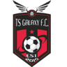 TS Galaxy W badge