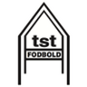 tst Fodbold badge