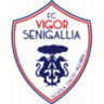 Vigor Senigallia