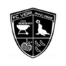 Vigri Maarjamäe badge