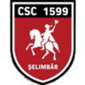 Viitorul Şelimbăr