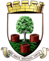 Wells City badge