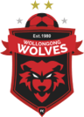 Wollongong Wolves U20